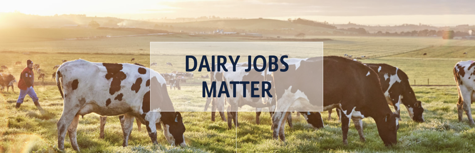 Careers in Dairy | Agriculture Careers